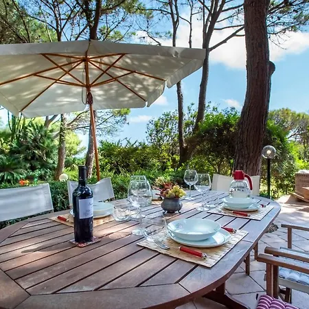 Serenella Villa *